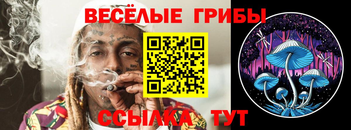 Псилоцибиновые грибы GOLDEN TEACHER Каменск-Шахтинский